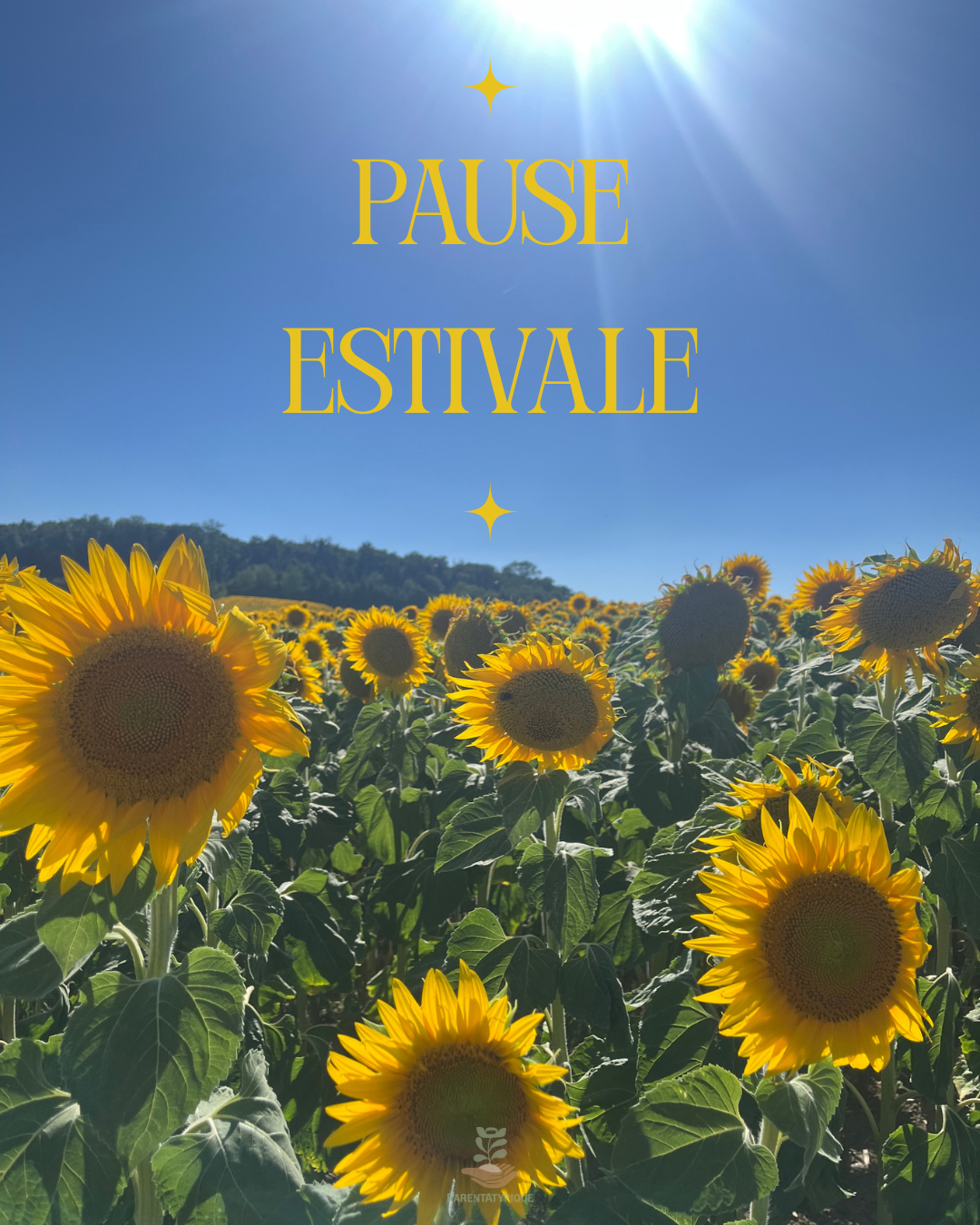 Place à la pause estivale…